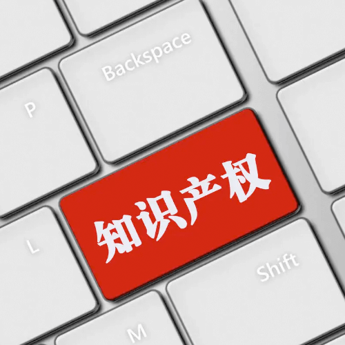 陕西赛博纳知识产权代理有限公司网站建设项目